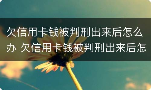 欠信用卡钱被判刑出来后怎么办 欠信用卡钱被判刑出来后怎么办呢