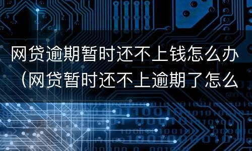 网贷逾期暂时还不上钱怎么办（网贷暂时还不上逾期了怎么办）
