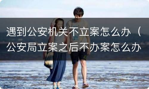 遇到公安机关不立案怎么办（公安局立案之后不办案怎么办）
