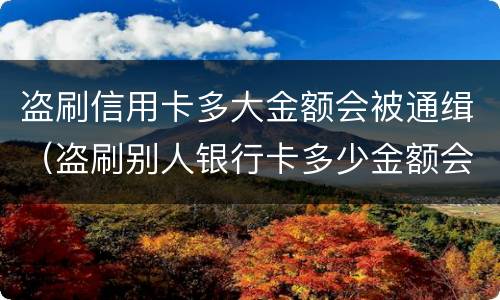 盗刷信用卡多大金额会被通缉（盗刷别人银行卡多少金额会判刑）