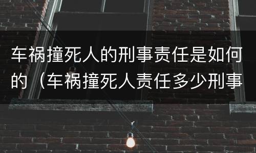 车祸撞死人的刑事责任是如何的（车祸撞死人责任多少刑事）