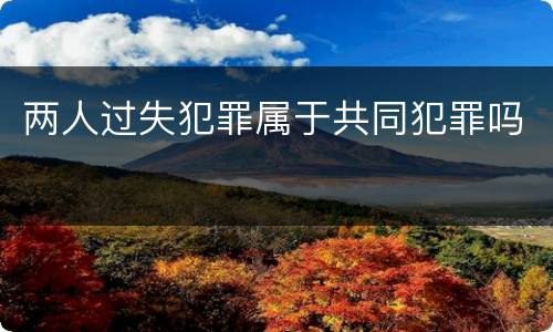 两人过失犯罪属于共同犯罪吗