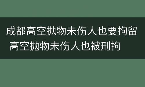 成都高空抛物未伤人也要拘留 高空抛物未伤人也被刑拘