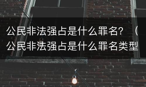 公民非法强占是什么罪名？（公民非法强占是什么罪名类型）