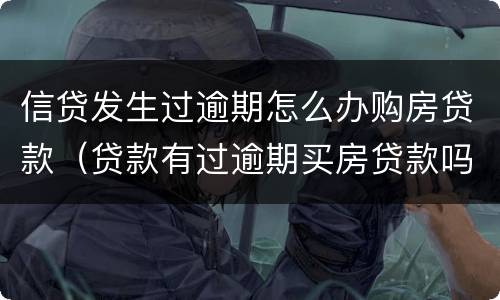 信贷发生过逾期怎么办购房贷款（贷款有过逾期买房贷款吗）