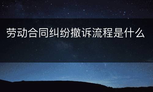 劳动合同纠纷撤诉流程是什么