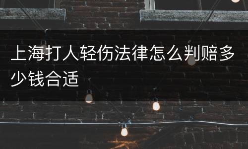 上海打人轻伤法律怎么判赔多少钱合适