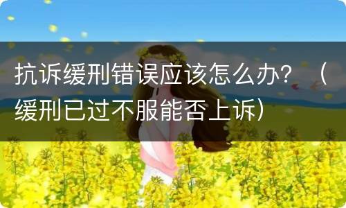抗诉缓刑错误应该怎么办？（缓刑已过不服能否上诉）