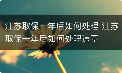 江苏取保一年后如何处理 江苏取保一年后如何处理违章