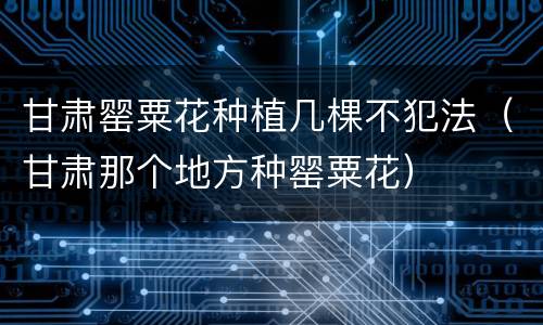 甘肃罂粟花种植几棵不犯法（甘肃那个地方种罂粟花）