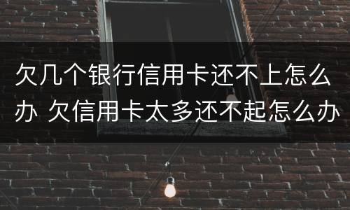欠几个银行信用卡还不上怎么办 欠信用卡太多还不起怎么办