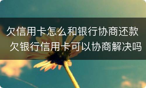 欠信用卡怎么和银行协商还款 欠银行信用卡可以协商解决吗
