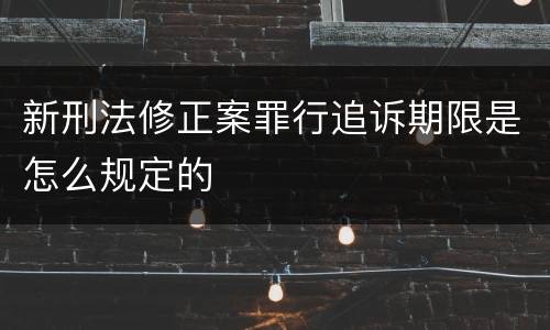 新刑法修正案罪行追诉期限是怎么规定的