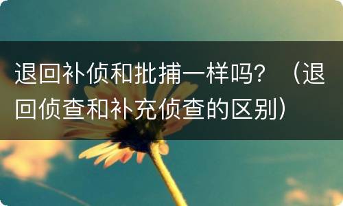 退回补侦和批捕一样吗？（退回侦查和补充侦查的区别）