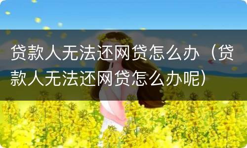 贷款人无法还网贷怎么办（贷款人无法还网贷怎么办呢）