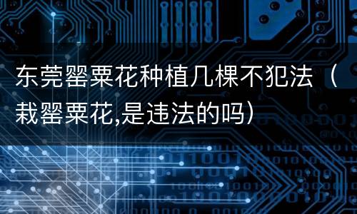 东莞罂粟花种植几棵不犯法（栽罂粟花,是违法的吗）