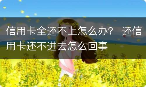 信用卡全还不上怎么办？ 还信用卡还不进去怎么回事