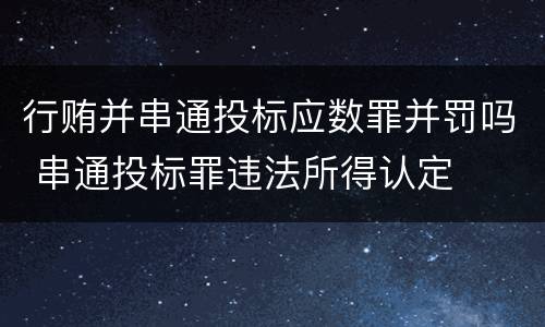 行贿并串通投标应数罪并罚吗 串通投标罪违法所得认定