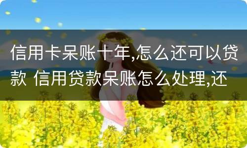 信用卡呆账十年,怎么还可以贷款 信用贷款呆账怎么处理,还用还吗