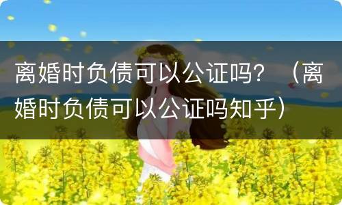 离婚时负债可以公证吗？（离婚时负债可以公证吗知乎）