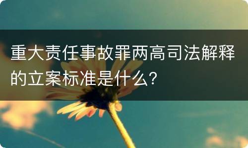重大责任事故罪两高司法解释的立案标准是什么？