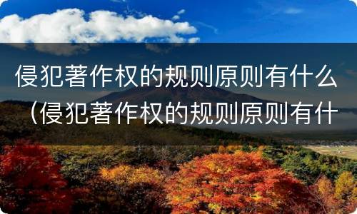 侵犯著作权的规则原则有什么（侵犯著作权的规则原则有什么特点）