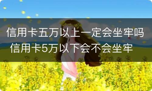 信用卡五万以上一定会坐牢吗 信用卡5万以下会不会坐牢