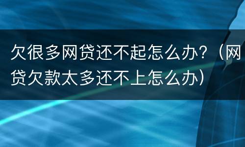 欠很多网贷还不起怎么办?（网贷欠款太多还不上怎么办）