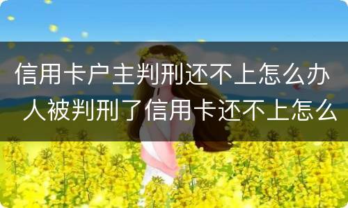 信用卡户主判刑还不上怎么办 人被判刑了信用卡还不上怎么办
