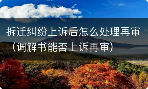 拆迁纠纷上诉后怎么处理再审（调解书能否上诉再审）