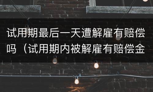 试用期最后一天遭解雇有赔偿吗（试用期内被解雇有赔偿金吗）