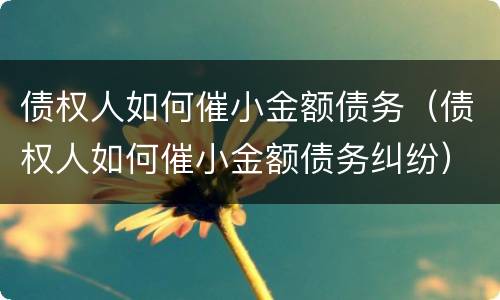 债权人如何催小金额债务（债权人如何催小金额债务纠纷）