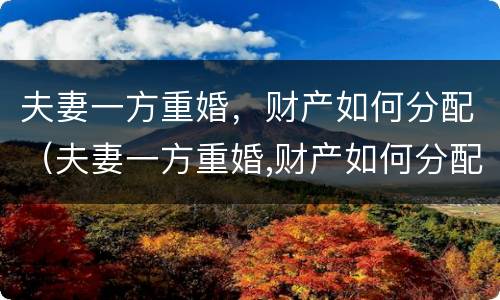 夫妻一方重婚，财产如何分配（夫妻一方重婚,财产如何分配呢）