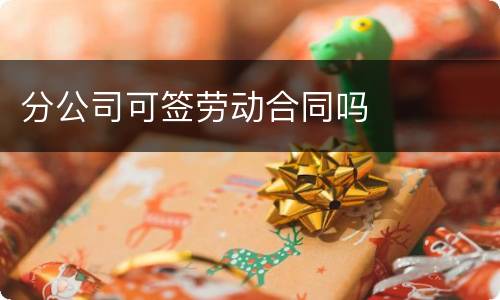 分公司可签劳动合同吗