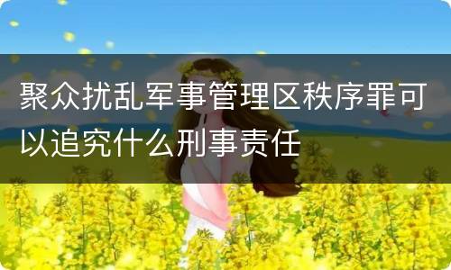 聚众扰乱军事管理区秩序罪可以追究什么刑事责任