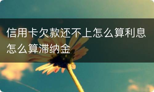 信用卡欠款还不上怎么算利息怎么算滞纳金