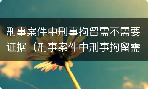 刑事案件中刑事拘留需不需要证据（刑事案件中刑事拘留需不需要证据材料）