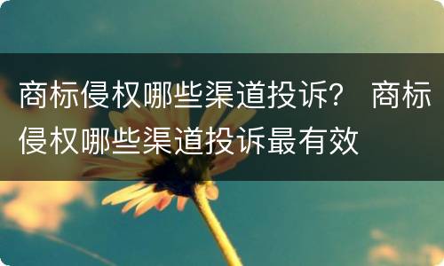 商标侵权哪些渠道投诉？ 商标侵权哪些渠道投诉最有效