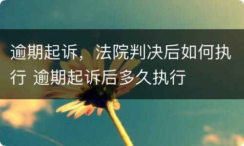逾期起诉，法院判决后如何执行 逾期起诉后多久执行