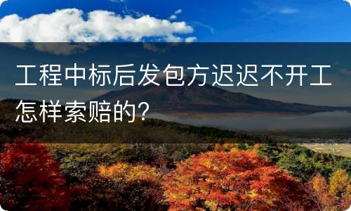 工程中标后发包方迟迟不开工怎样索赔的?