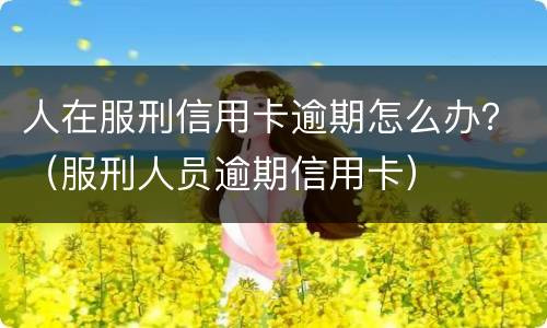 人在服刑信用卡逾期怎么办？（服刑人员逾期信用卡）