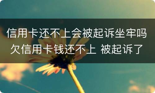 信用卡还不上会被起诉坐牢吗 欠信用卡钱还不上 被起诉了 会不会做牢