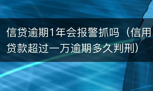 信贷逾期1年会报警抓吗（信用贷款超过一万逾期多久判刑）