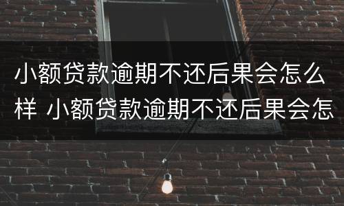 小额贷款逾期不还后果会怎么样 小额贷款逾期不还后果会怎么样呢
