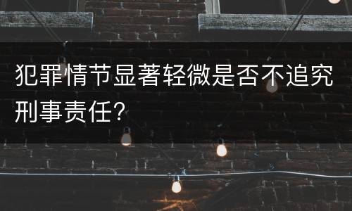 犯罪情节显著轻微是否不追究刑事责任?