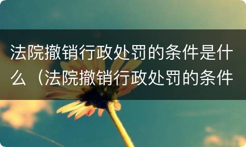 法院撤销行政处罚的条件是什么（法院撤销行政处罚的条件是什么意思）