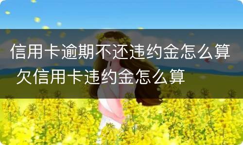 信用卡逾期不还违约金怎么算 欠信用卡违约金怎么算