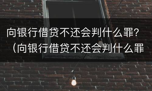 向银行借贷不还会判什么罪？（向银行借贷不还会判什么罪行）