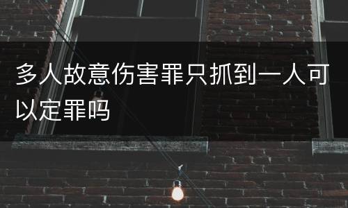 多人故意伤害罪只抓到一人可以定罪吗