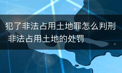 犯了非法占用土地罪怎么判刑 非法占用土地的处罚
